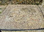 Mosaic: sea creatures, House of the Athlete, Volubilis Roman Ruins, Morocco