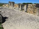 Mosaic, House of Ephebus, Volubilis Roman Ruins, Morocco