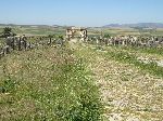 Arch of Caracalla (Triumphal arch), Decumanus Maximus (road), Volubilis Roman Ruins, Morocco