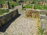 House of Nereids, Volubilis Roman Ruins, Morocco