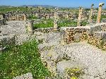 House of Nereids, Volubilis Roman Ruins, Morocco