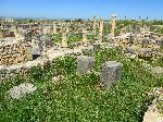 House of Nereids, Volubilis Roman Ruins, Morocco