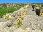 Volubilis Roman Ruins, Morocco