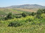 Highlands west of Volubilis, Morocco