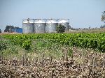 Grain elevators, Kenitra, Morocco