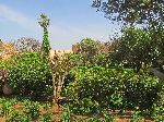 Andalusian Gardens, Kasbah of the Udayas, Rabat, Morocco
