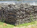 Cork bark stack, Maamora Forest, Morocco