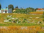Cemetery, Khemisset, Morocco