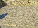 Mosaic: eponymous, House of the Labors of Hercules,Volubilis Roman Ruins, Morocco