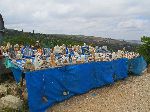 Roadside fossil, crystal and mineral seller, Morocco