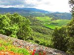 View from Parc National d'Ifran, Morocco