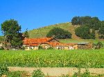 Farmhouse, Azrou to Khenifa road, Morocco