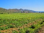 Wheat, village and hills, Azrou to Khenifa road, Morocco