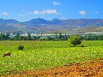 Greenhouses, Azrou to Khenifa road, Morocco