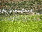 Beehives, Azrou to Khenifa road, Morocco