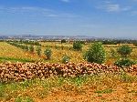 Khenifra-Beni Mellah road, Morocco