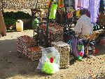 Egg seller, Beni Mellal, Morocco