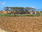 Vegetable beds and dune, Jorf Lasfar-Oualidia road, Morocco