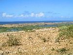 Lagoon, farms and dunes, Jorf Lasfar-Oualidia road, Morocco