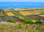 Farm and ocean, Oualidia to Cape Beddouza, Morocco
