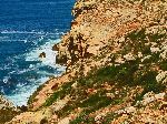 Coast, Cape Beddouza, Morocco