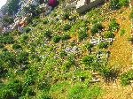 Islamic cemetery, Safi, Morocco