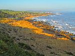 Coastline, Safi to Essaouira, Morocco