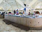 Fish market, Essaouira, Morocco