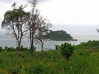 Sierra Leone, Bure Town, rice farm and island