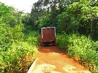 Toke-Freetown Road, Sierra Leone