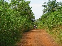 Sierra Leone, road to Masanga Hospital