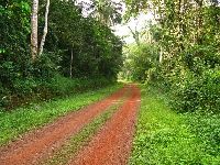 Blama-Potoru road