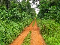 Blama-Potoru road