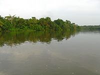 Moa River, Tiwai Island