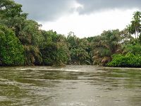 Moa River, Tiwai Island