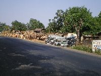 Togo, village north of Sokode selling fire wood