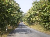 Sokode, Togo, national highway north of town