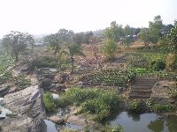 Intensive riverside vegetable cultivation, Kara, Togo