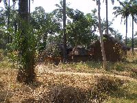 Niamtougou, Togo
