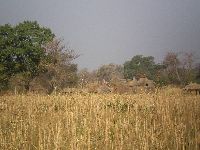 Tembera, Koutammakou World Heritage, Togo