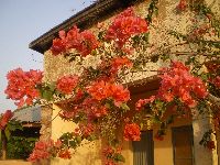 Auberge, Koussoukoingou, Benin
