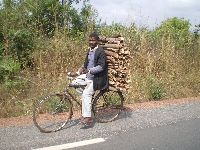Bohicon, Benin, bicyclist hauling firewood
