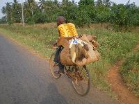 Vogan, Togo, bicyclist bring goods to the market