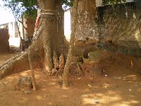 Togoville, Togo, shrines and altar for traditional Voodou religion