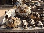 Lome, Togo, traditional medicine market, animal heads