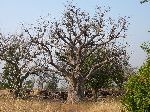 Aledjame, Bafilo, Togo