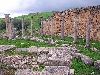 Temple of Celestis, Dougga