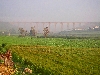 Railroad bridge through morning midst, Beja