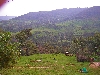 Farm, sheep and valley, south of Tabarka
