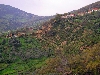 Farm and valley, near Babouch, south of Tabarka